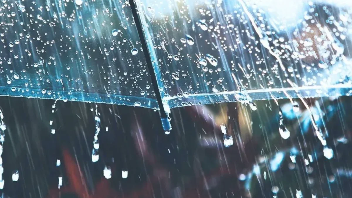 Capa_Chuva-de-verao-o-que-e-porq-1200x675