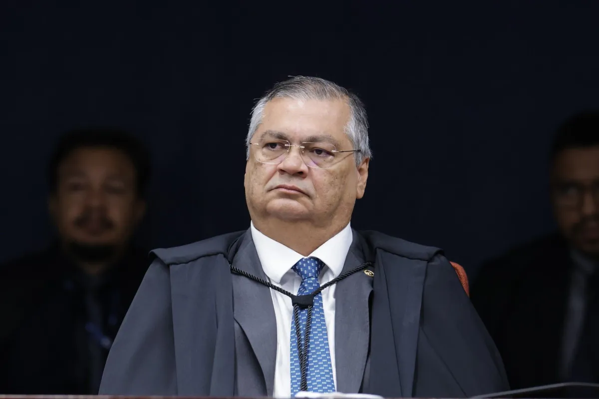 FLAVIO dino