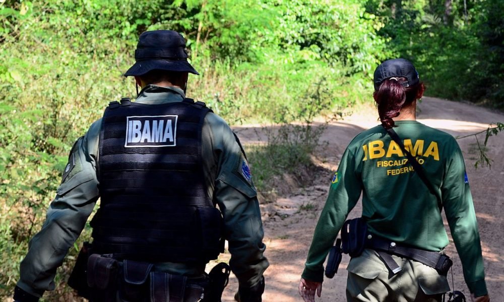 concurso-ibama