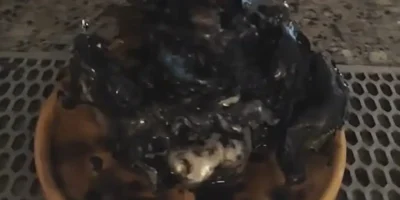 alleged-panama-alien-meteorite-credit-kinpanama-tiktok-1024x953.jpg