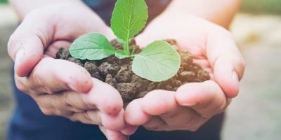 o-que-e-sustentabilidade